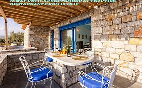 Mani Holiday House